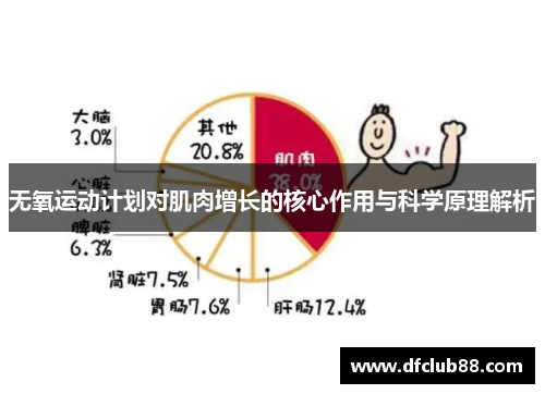 无氧运动计划对肌肉增长的核心作用与科学原理解析